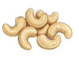cashew