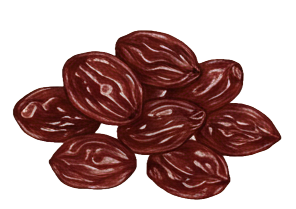 dried cranberry