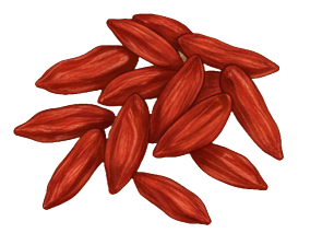 goji berry
