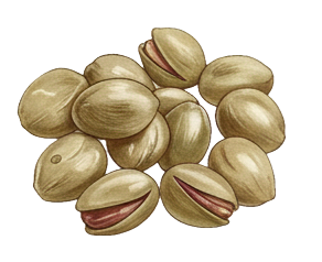 pistachio