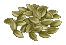 pumpkin seeds