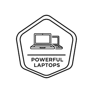 powerful business laptops